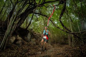 BIB: 
                            <button type="button" onclick="openModal(22178001)" class="btn btn-primary btn-sm float-right btn-popup" data-toggle="modal" data-target=".modal-high-quality">
                        <i class="fas fa-shopping-cart"></i> Add to Cart
                    </button>
                                            <button type="button" onclick="isThisMe(22178001, true)" class="btn btn-success btn-sm float-right btn-popup btn-isme hidden" data-toggle="tooltip" data-placement="bottom" title="นี่คือรูปของคุณใช่ไหม คลิกที่นี่เพื่อเอาเข้าอัลบั้ม">
                        <i class="fas fa-plus"></i> Add to album
                    </button>
                    <button type="button" onclick="isThisMe(22178001, false)" class="btn btn-warning btn-sm float-right btn-popup btn-isnotme hidden">
                        <i class="fas fa-ban"></i> Remove from album
                    </button>